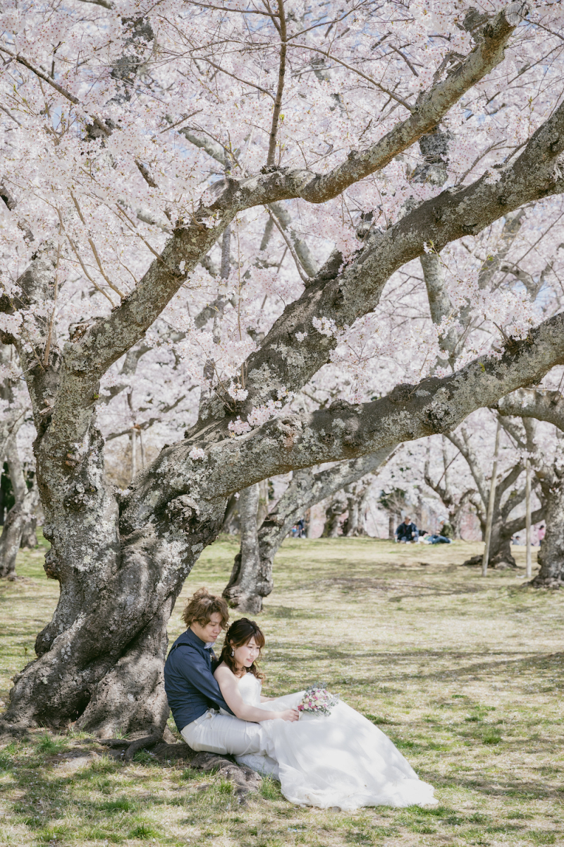 \桜フォト予約OK/人気の桜フォトスポットご紹介♪