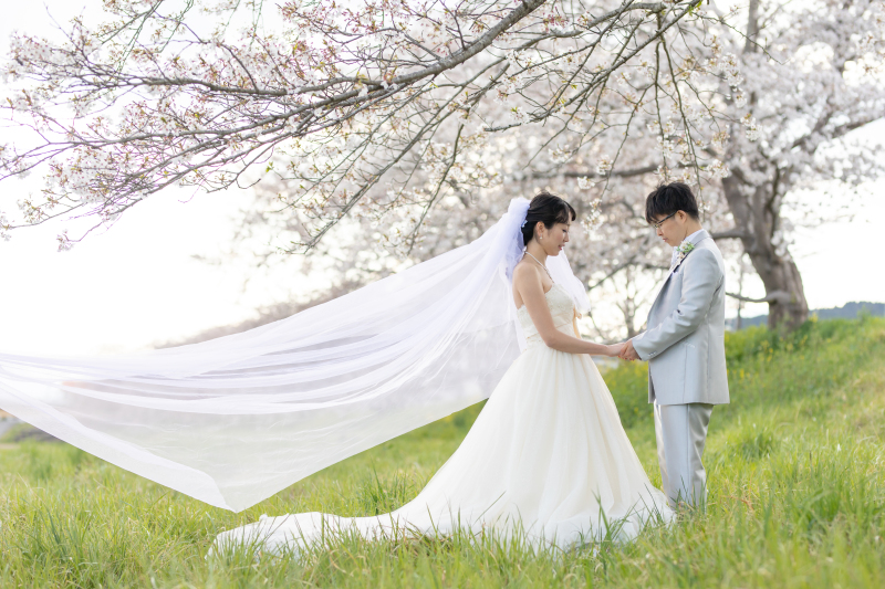 桜×ドレス