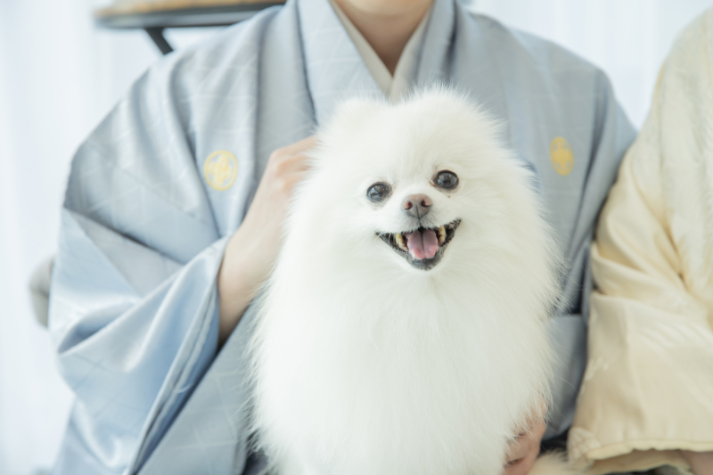 【大好きなご家族と一緒に♡】ウェディングフォト with ペット♡