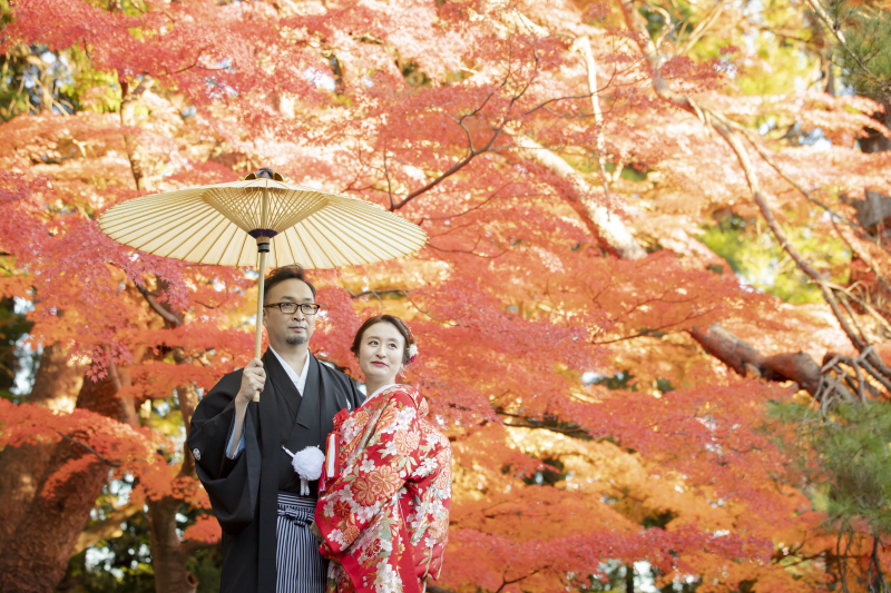 【紅葉撮影】色の合わせ方に迷ったら