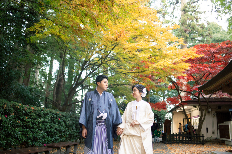 【紅葉撮影】色の合わせ方に迷ったら