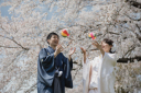 ＊桜撮影ポージング＊〜和装編〜