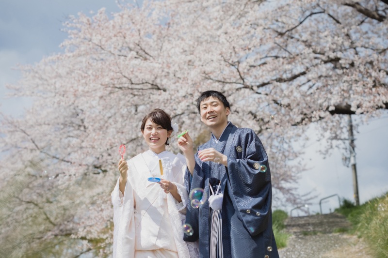 【桜ロケーションフォト】*白石川堤一目千本桜*