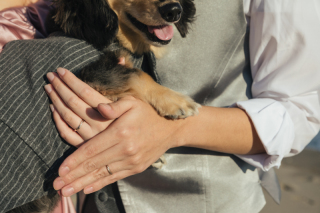 大切な家族と一緒にフォトウェディング!