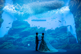 結婚前のビックイベント「前撮り」の楽しみ方