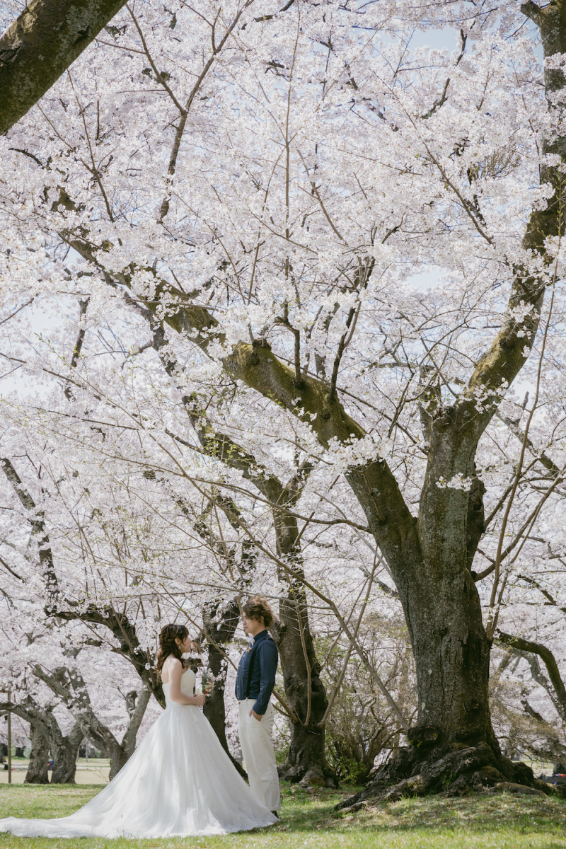 \桜フォト予約OK/人気の桜フォトスポットご紹介♪