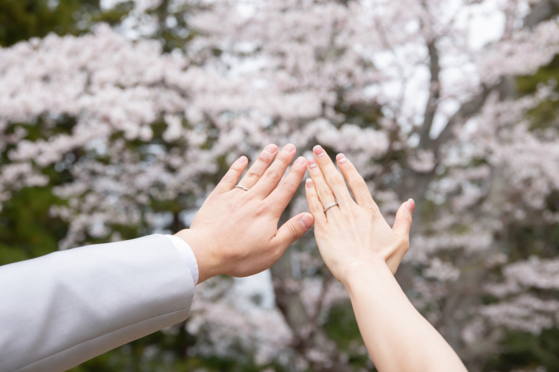 【早割】桜フォトキャンペーン＊大人気シーズン！今だけの早割り！