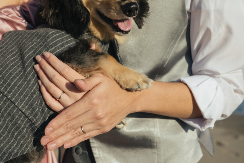 【かわいい家族の一員と♡】愛犬と一緒に撮影もできます♪