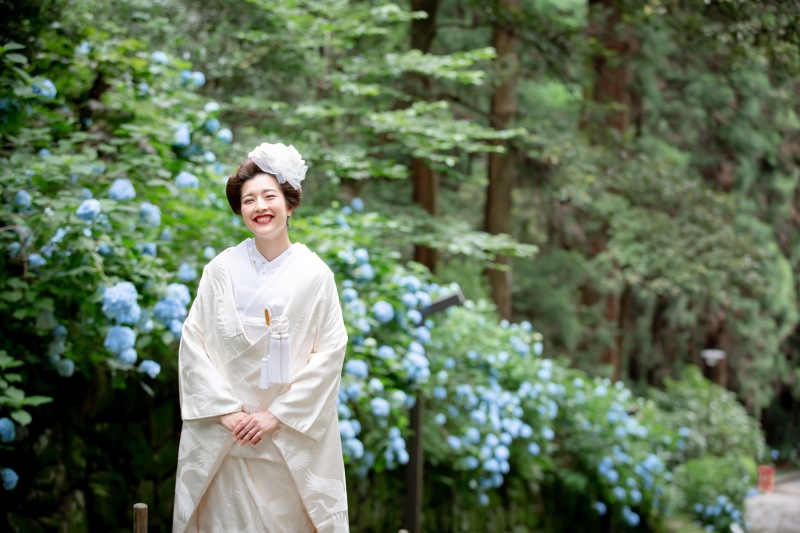 ・・紫陽花フォト・・