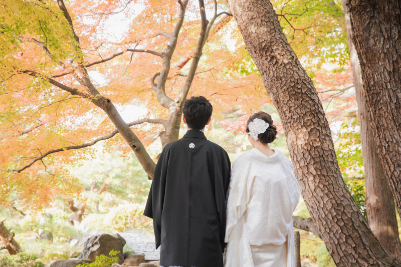 紅葉シーズンの相談予約につきまして