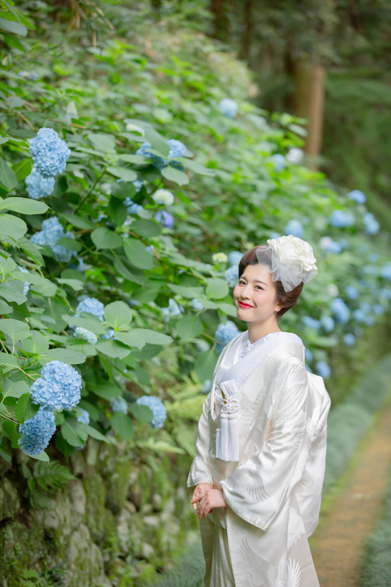 白無垢×紫陽花フォト