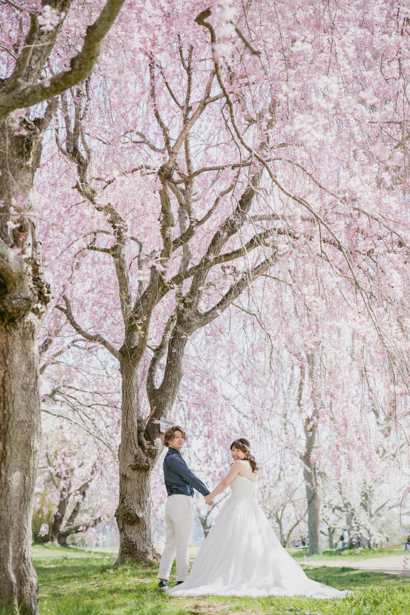 \桜フォト予約OK/人気の桜フォトスポットご紹介♪