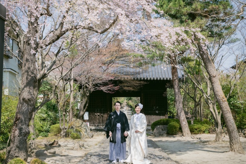 \桜フォト予約OK/人気の桜フォトスポットご紹介♪