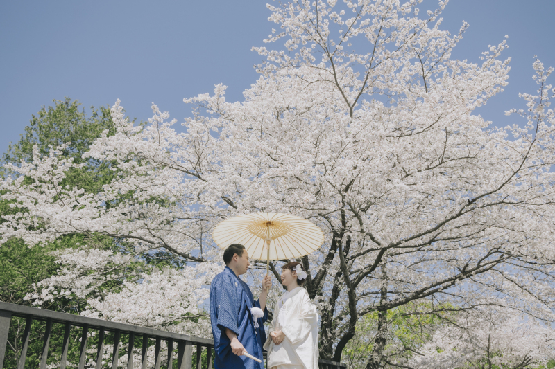 【早割】桜フォトキャンペーン｜期間限定でお得に春の前撮り