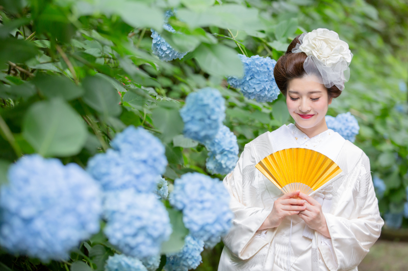 紫陽花フォト♪