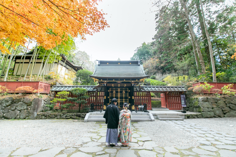 紅葉のお問い合わせ増えてます❤︎