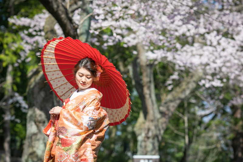 大人気の＼桜フォトウェディング／