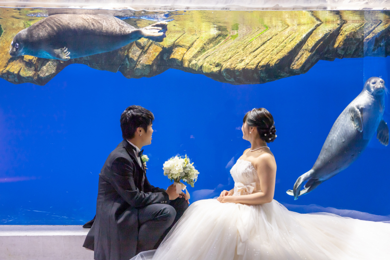 【幻想的なお写真を】美しい水族館フォト