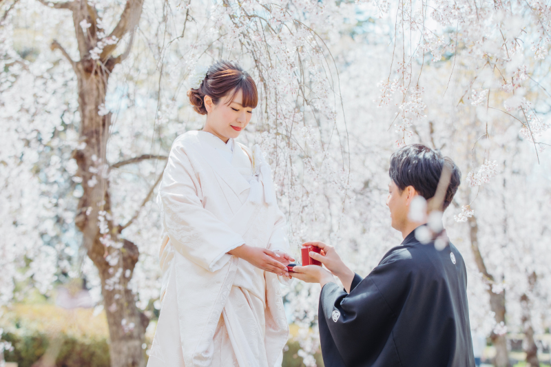 【榴岡公園】桜ロケーションのご紹介!
