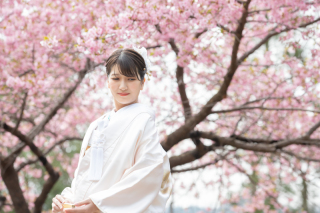 フォトウェディングの相場はどのくらい？当日のスケジュールはどんな感じ？