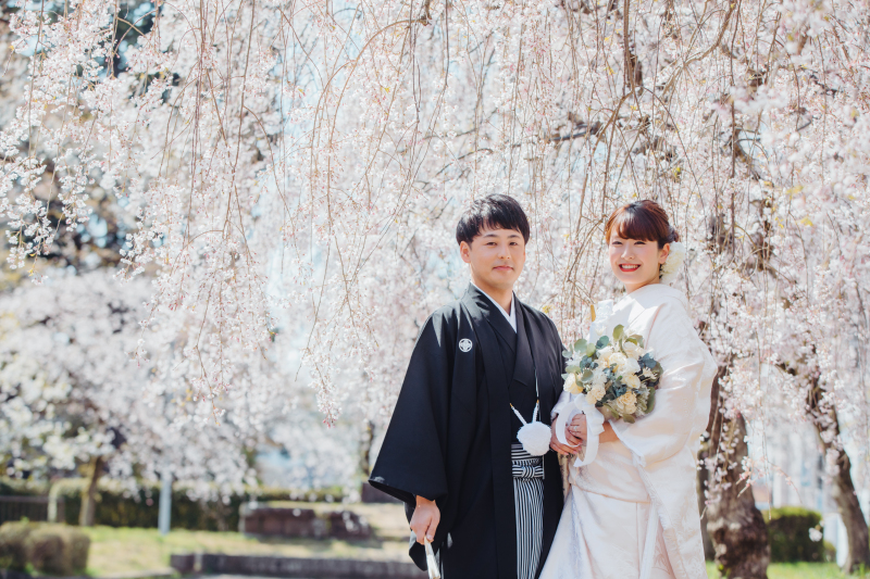 【桜×茶室】桜ロケーション撮影に１ロケで「茶室」撮影の追加プラン！