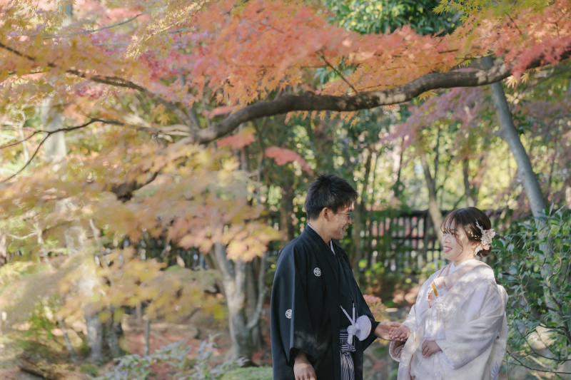 紅葉撮影のベストなタイミングは？