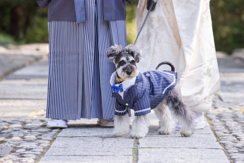 【かわいい家族の一員と♡】愛犬と一緒に撮影もできます♪