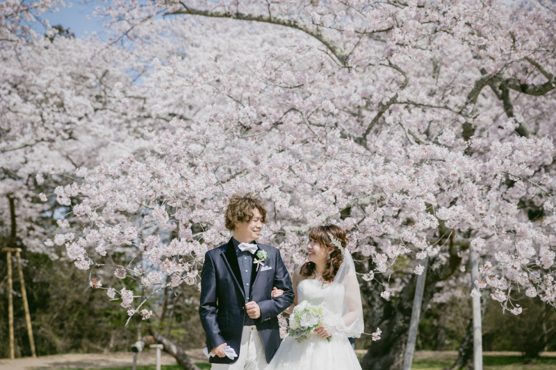 \桜フォト予約OK/人気の桜フォトスポットご紹介♪