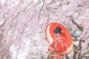 桜色が2人を包む「榴岡公園」でのロケーションフォト