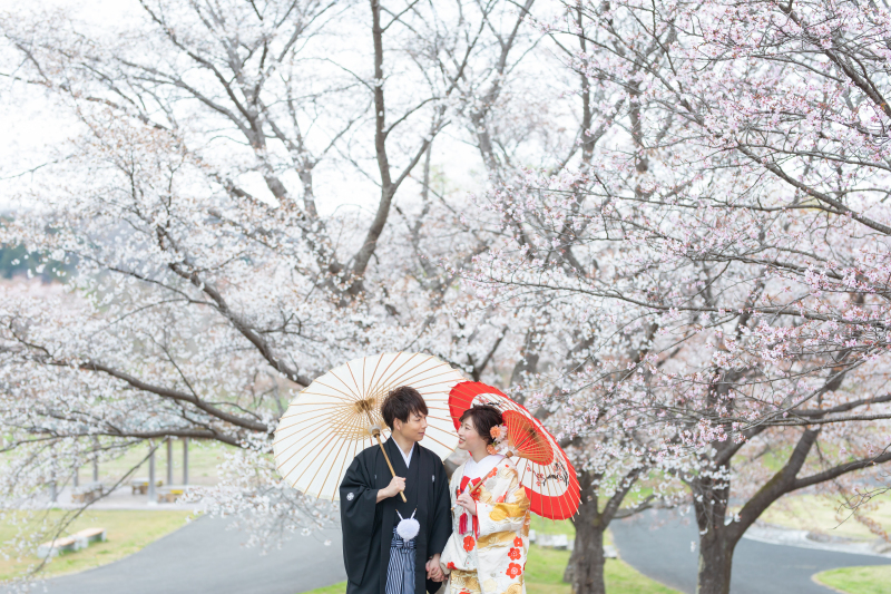 【桜撮影】ロケーション紹介☆みちのく湖畔公園☆