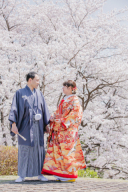 【ご予約はお早めに？！】桜フォト