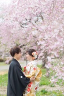 【桜撮影】ロケーション紹介☆みちのく杜の湖畔公園☆