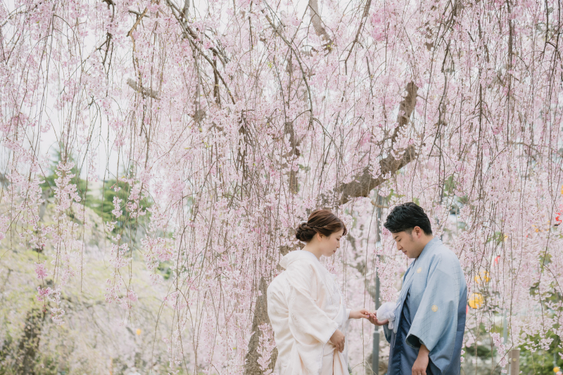 【榴岡公園】桜ロケーションのご紹介!