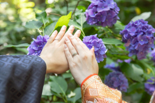 ＊あじさいフォト＊