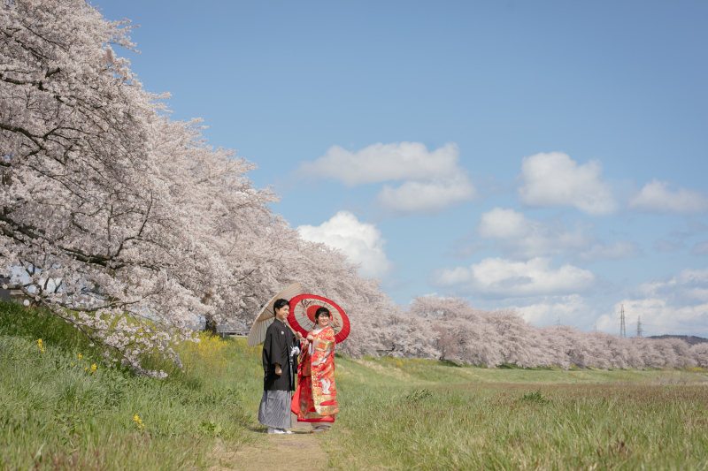 ＊桜満喫セレクトプラン＊