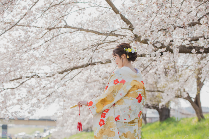 【一目千本桜】桜ロケーションのご紹介!