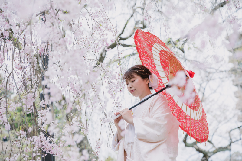 【榴岡公園】桜ロケーションのご紹介！