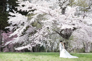 スタジオ撮影とロケーション撮影