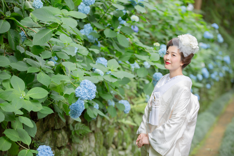 *紫陽花フォト 和装バージョン*