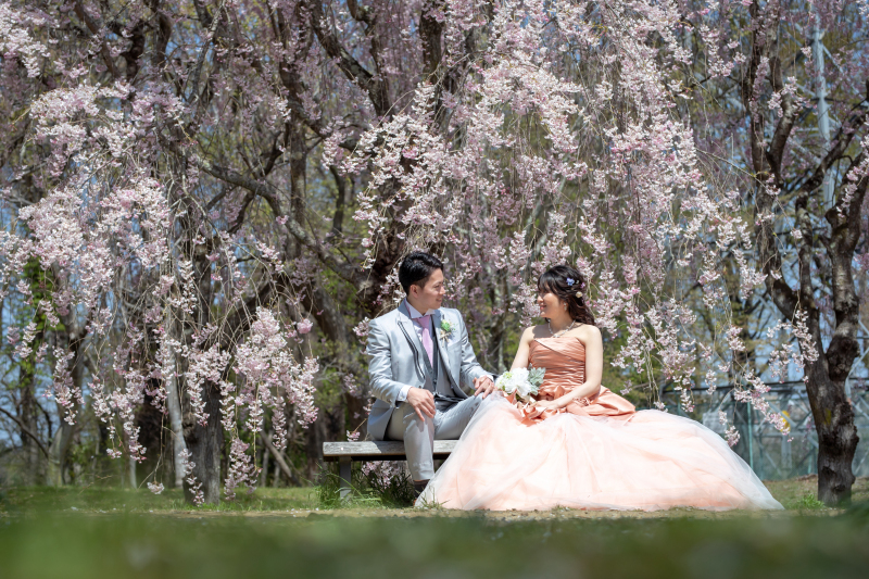 ついに開花しました!!