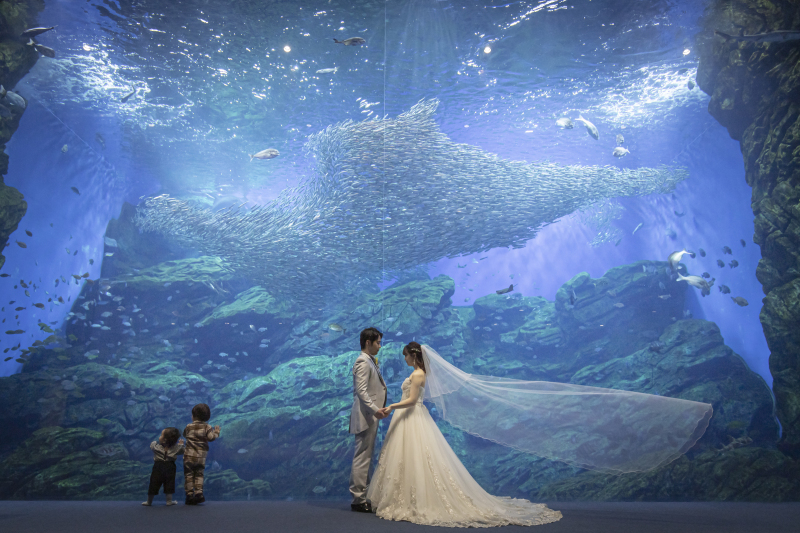 先輩カップルに聞いてみた！写真だけの結婚式・「フォトウェディング」体験談