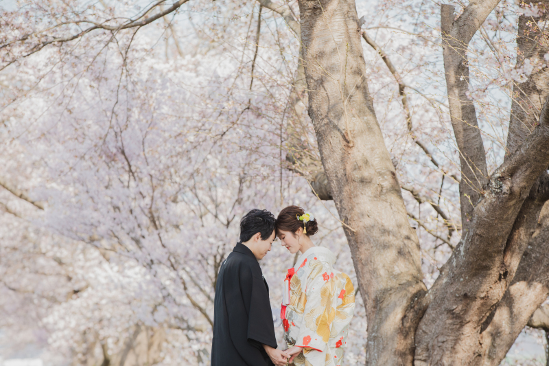 【一目千本桜】桜ロケーションのご紹介!