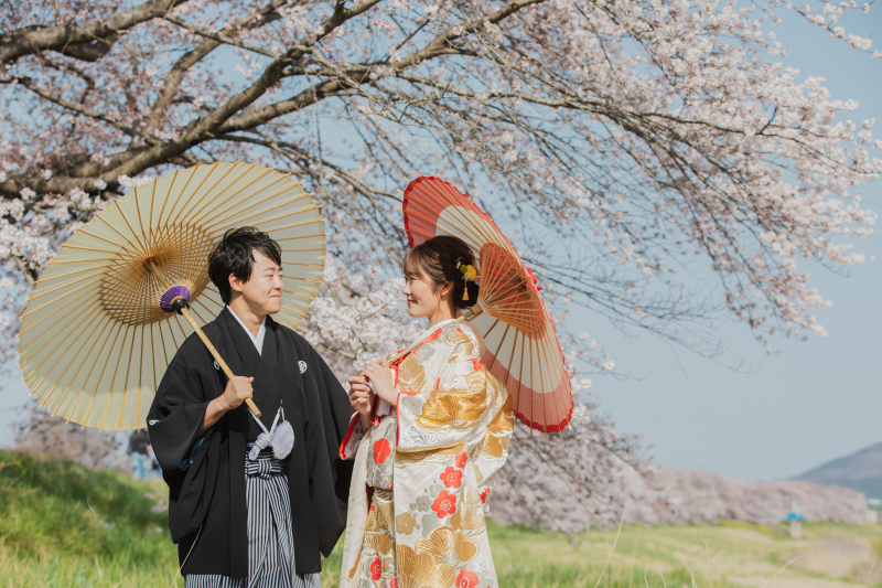 【一目千本桜】桜ロケーションのご紹介!