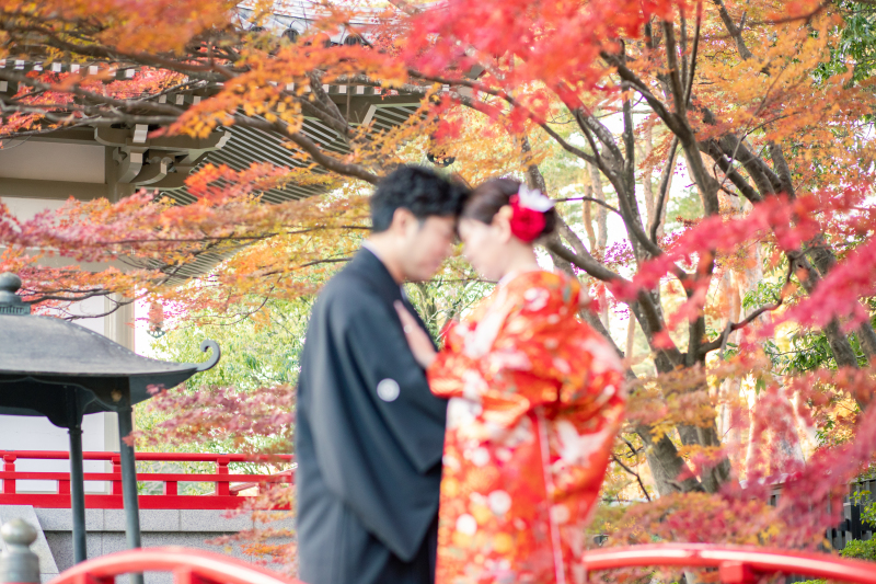 紅葉撮影のベストなタイミングは？