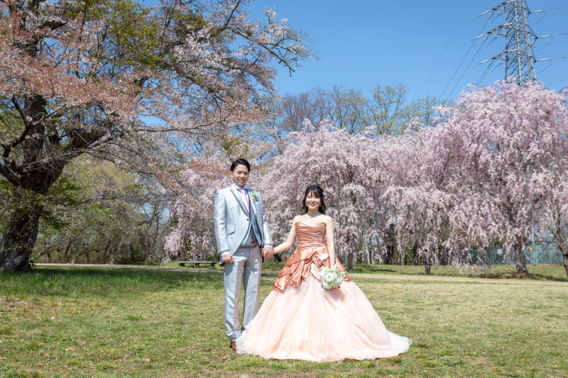 【桜撮影】ロケーション紹介☆三神峯公園☆