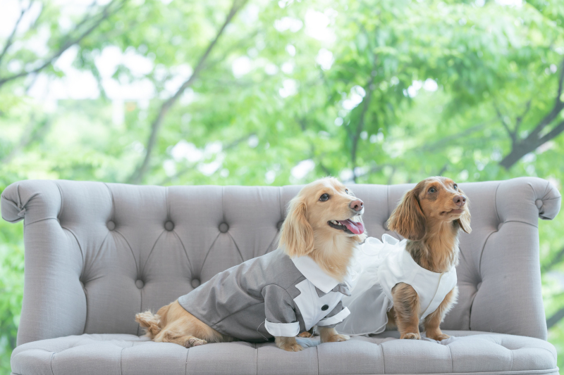 チャペル撮影〜仙台セントジョージ教会のご紹介〜