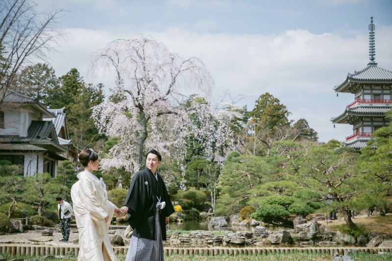 \桜フォト予約OK/人気の桜フォトスポットご紹介♪