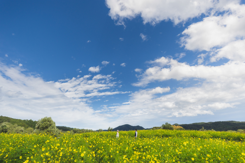 【2026年 新春お年玉フェア】“末広がり” 最大¥88,000分特典