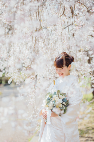 桜の撮影のご予約承っております!