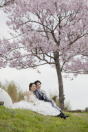 春の撮影に向けて・・